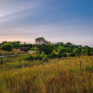 Beautiful native Midwest prairie overlooking a forest.