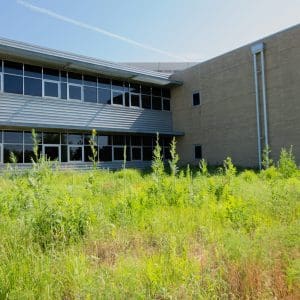 Erosion Control Blanket Grass Seed Mix