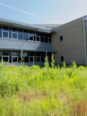 Erosion Control Blanket Grass Seed Mix