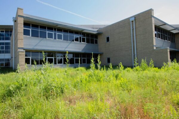 Erosion Control Blanket Grass Seed Mix