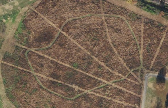 Restoration Habitat Crop Circles and Fire Breaks St Louis Cemetery