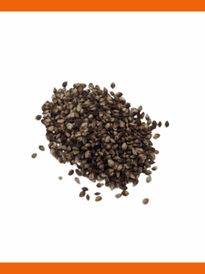 Fuzzy Wuzzy Sedge Seeds