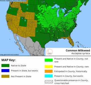 Common Milkweed native range
