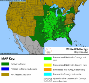White Wild Indigo native range