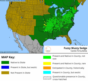 Fuzzy Wuzzy Sedge native range