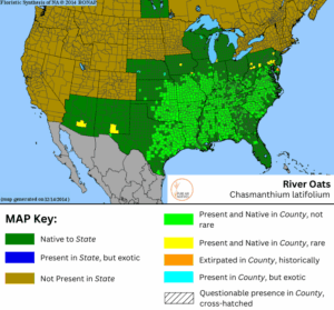 River Oats native range