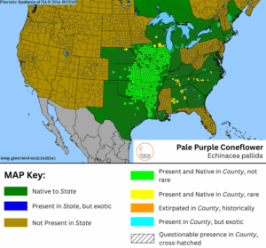 Pale Purple Coneflower native range