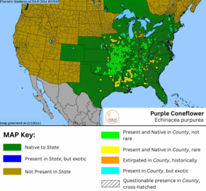 Purple Coneflower native range