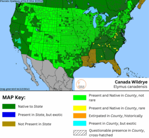 Canada Wildrye native range