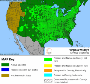 Virginia Wildrye native range