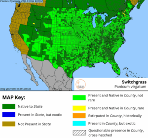 Switchgrass native range
