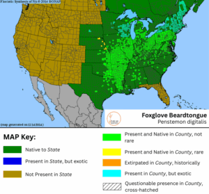 Foxglove Beardtongue native range