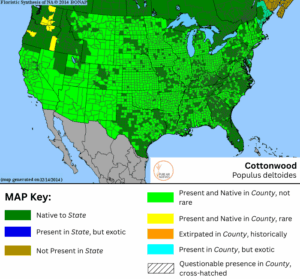 Cottonwood native range