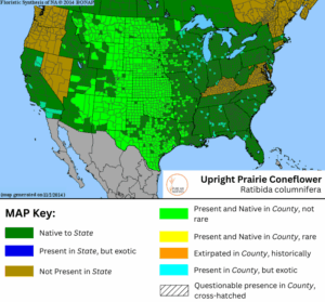 Upright Prairie Coneflower native range