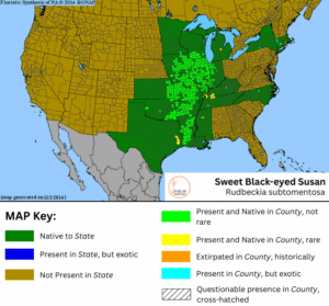 Sweet Black Eyed Susan native range