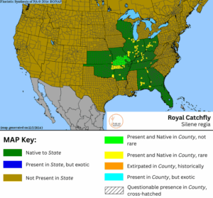 Royal Catchfly native range