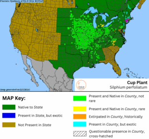 Cup Plant native range