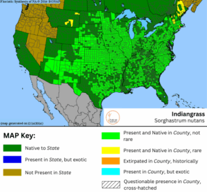 Indiangrass native range