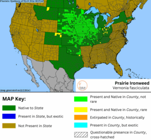 Prairie Ironweed native range