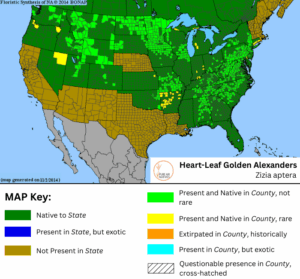 Heart Leaf Golden Alexanders native range