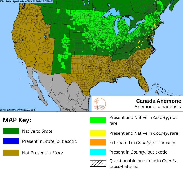 Canada Anemone native range