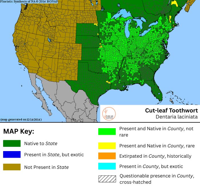 Cardamine concatenata, Dentaria lacianata range map
