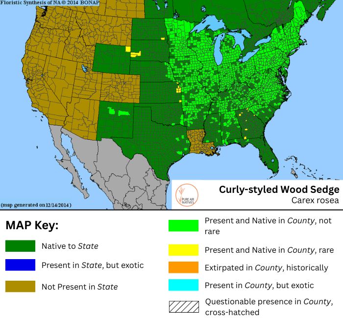 Carex rosea native range map