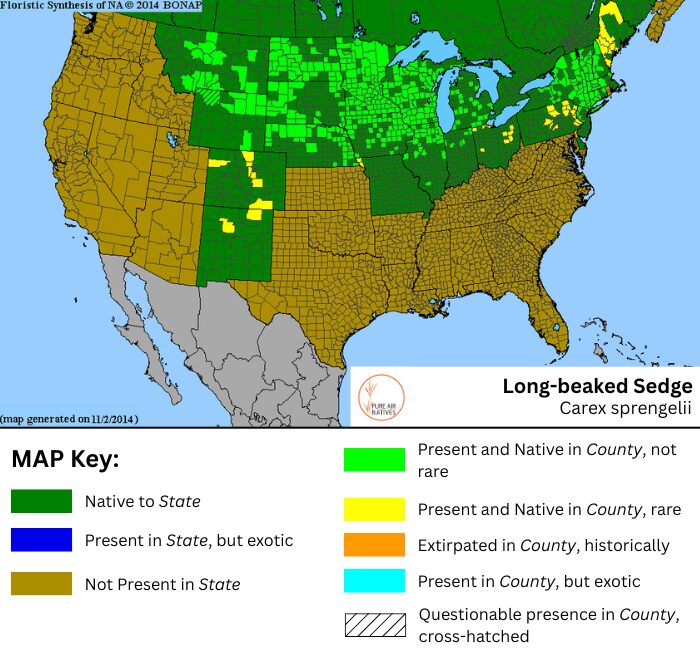 Long-beaked Sedge native range map