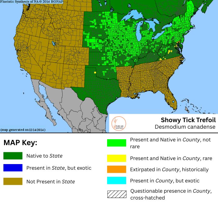 Showy Tick Trefoil native range