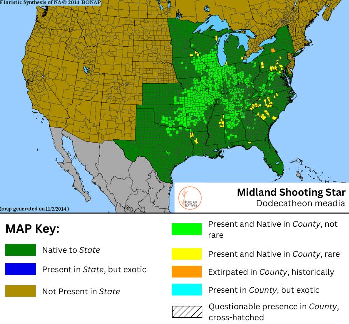 Midland Shooting Star native range map