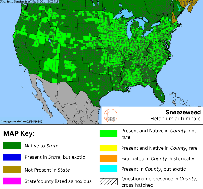 Helenium autumnale Sneezeweed Range Map