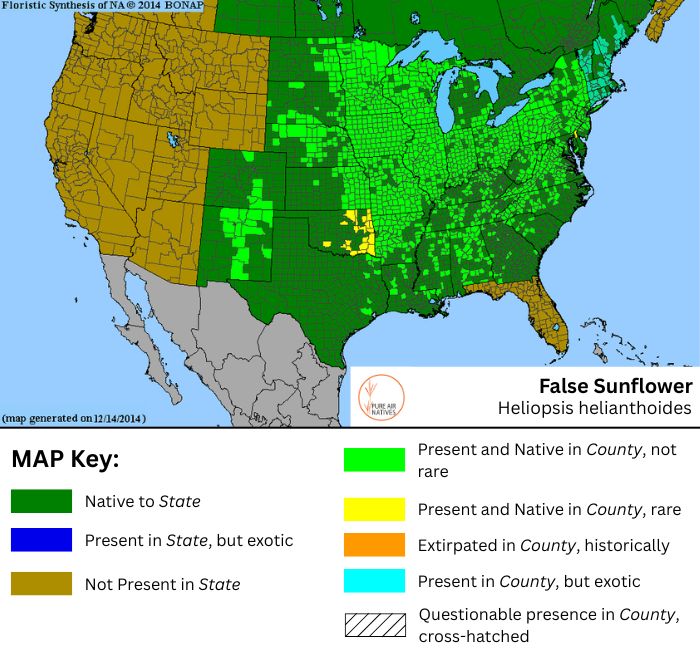 False sunflower native range