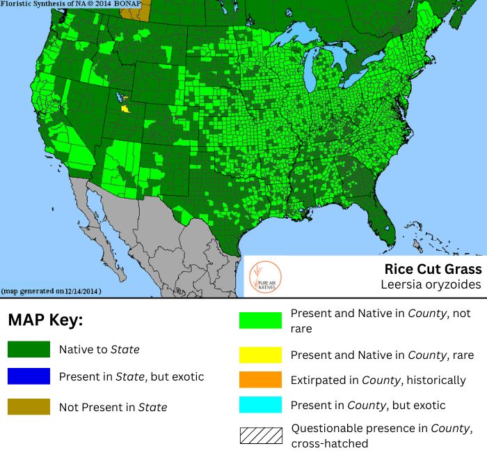 Rice Cut Grass native range map