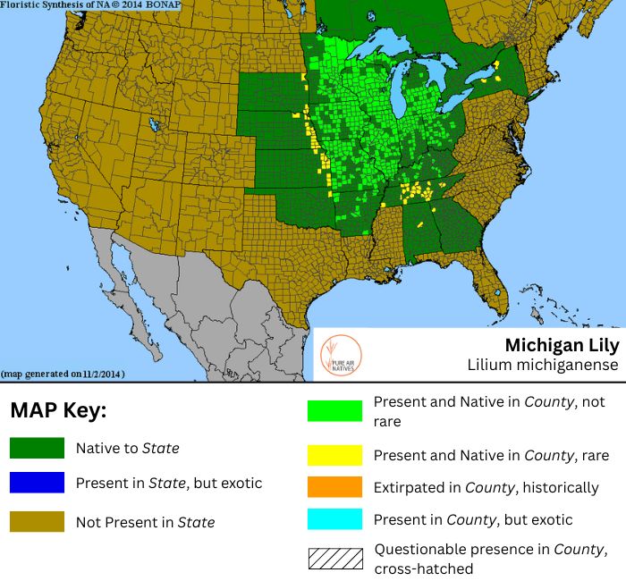 Lilium michiganense native range map