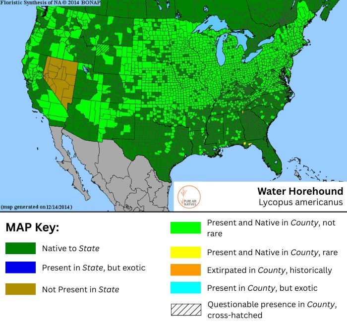 Water Horehound native range map