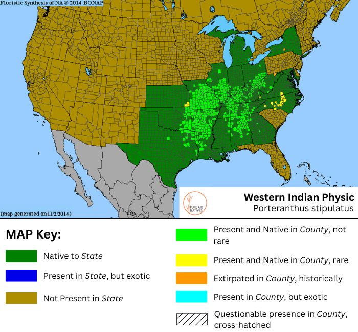 Porteranthus stipulatus, Gillenia stipulata native range map