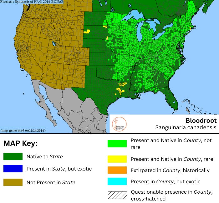 Bloodroot native range map