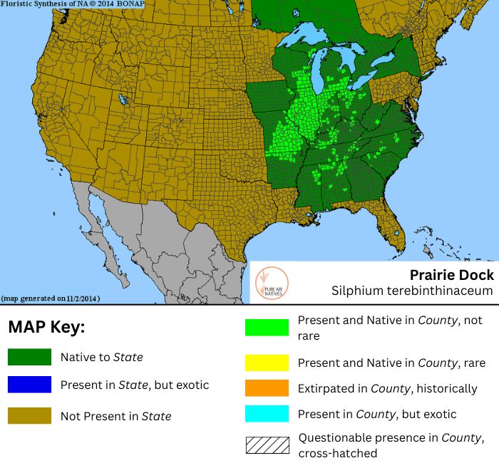Prairie Dock native range