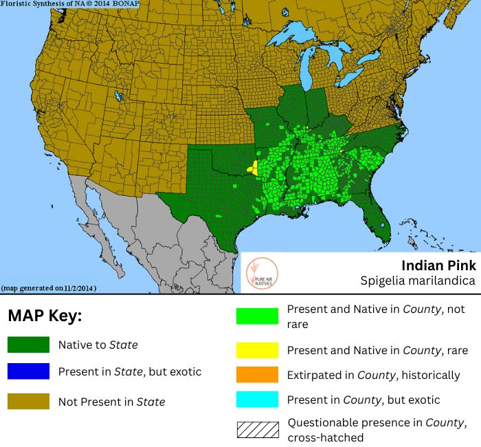 Indian Pink native range