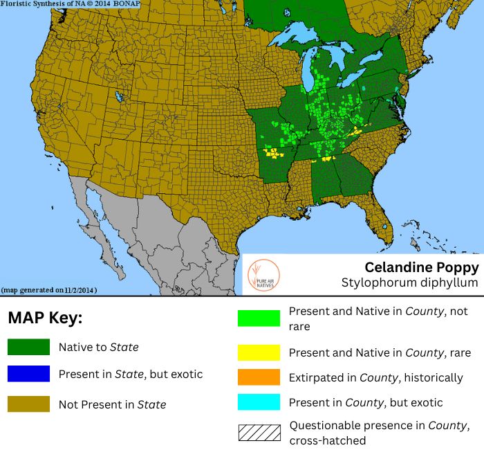 Celandine Poppy range map