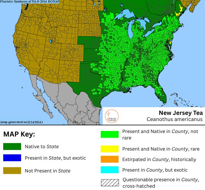 Ceanothus americanus native range map